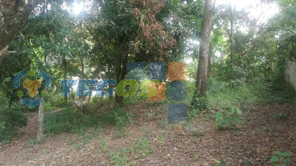 Terreno à venda, 360 m² por R$ 50.000,00 - Vianinha - Esmeraldas/MG Foto 1