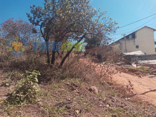 Terreno de 620m² por R$ 60.000,00 Foto 3