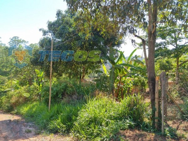 Lote No Bairro Marzagão Foto 3