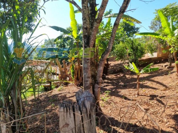 Lote No Bairro Marzagão Foto 8