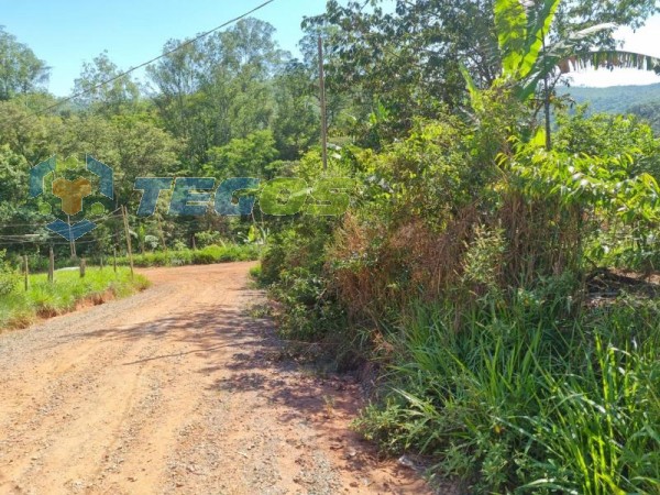 Lote No Bairro Marzagão Foto 12