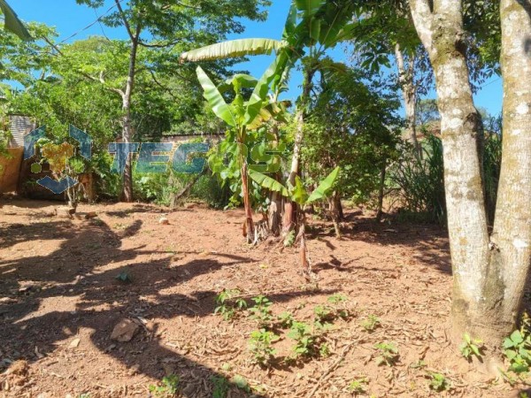 Lote No Bairro Marzagão Foto 13