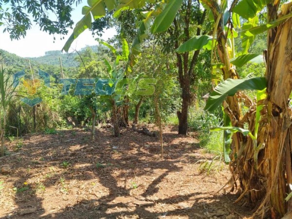 Lote No Bairro Marzagão Foto 15