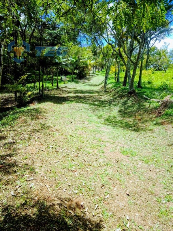 Excelente Sítio em Santo Antônio do Leite Foto 2