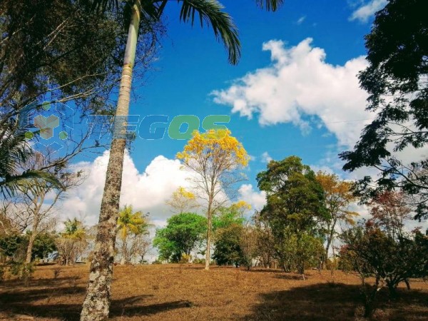 Excelente Sítio em Santo Antônio do Leite Foto 9