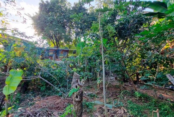 Refúgio Urbano: Casa com ponto comercial em terreno de 1000m² para venda em Coronel Fabriciano, MG Foto 8