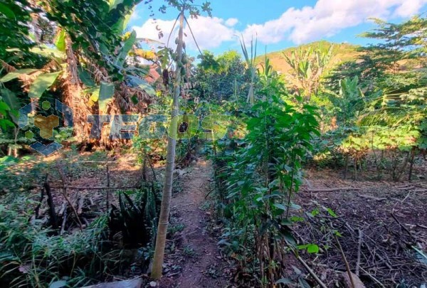 Refúgio Urbano: Casa com ponto comercial em terreno de 1000m² para venda em Coronel Fabriciano, MG Foto 9