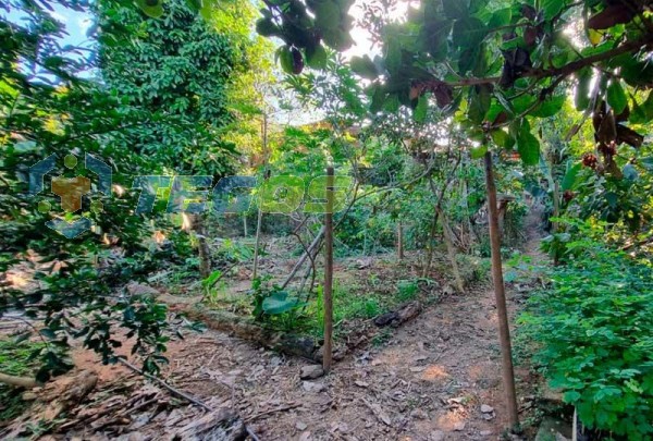 Refúgio Urbano: Casa com ponto comercial em terreno de 1000m² para venda em Coronel Fabriciano, MG Foto 11