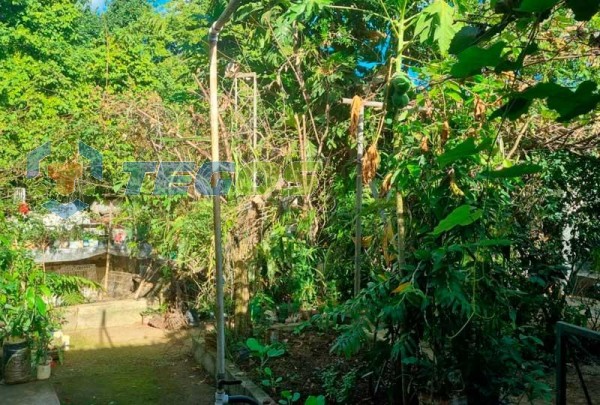 Refúgio Urbano: Casa com ponto comercial em terreno de 1000m² para venda em Coronel Fabriciano, MG Foto 16