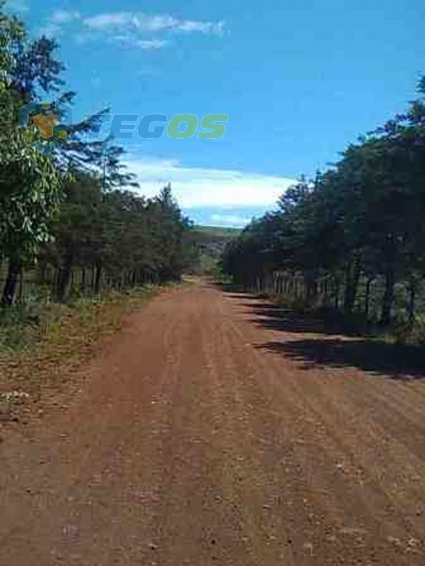 Lote à venda, Balneário Agua Limpa - NOVA LIMA/MG Foto 5