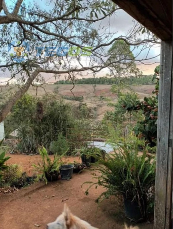 Casa no Condomínio Vale dos Pinhais Nova Lima Foto 8